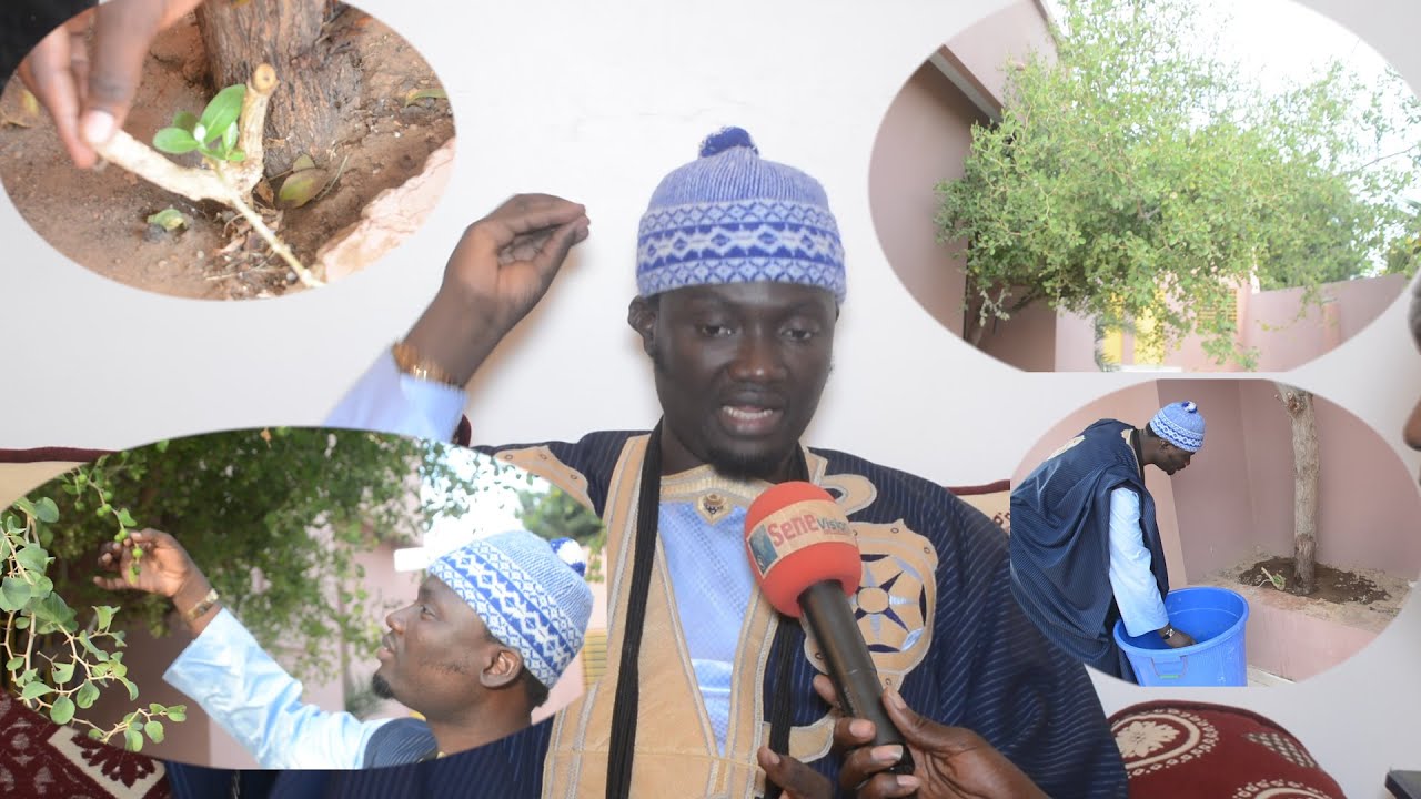 Deuxieme partie Ndiarignal Garabou Sideem gu sax ci keur ak paftone, par S Cheikh Fall Khataba