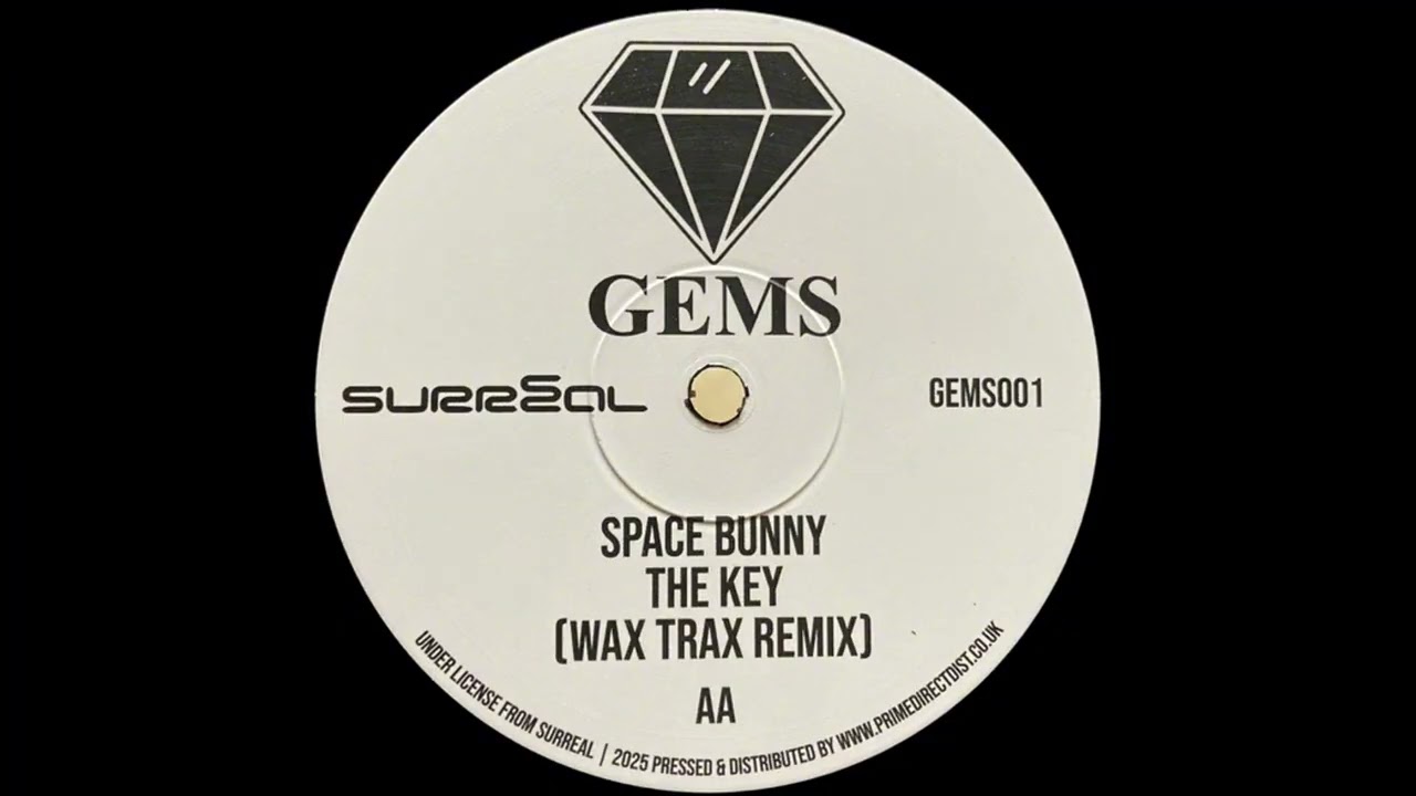 Space Bunny - The Key (Wax Trax Remix)