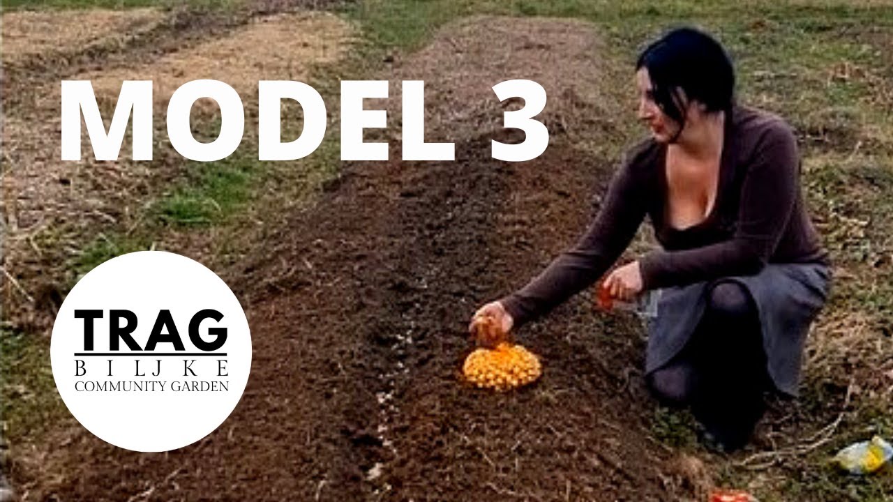BRZI UZGOJ HRANE - MODEL 3 (2021) [TRAG BILJKE]