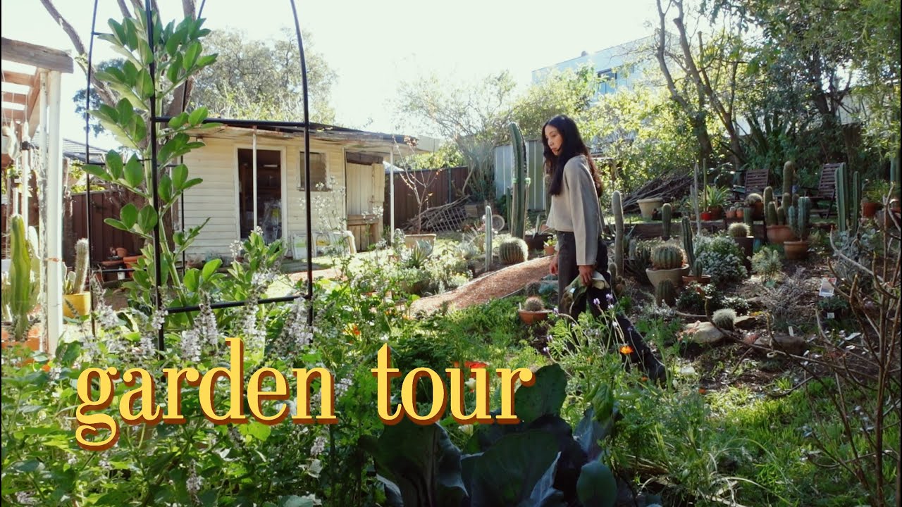 GARDEN TOUR: My Pre-Spring Kitchen + Cactus Gardens