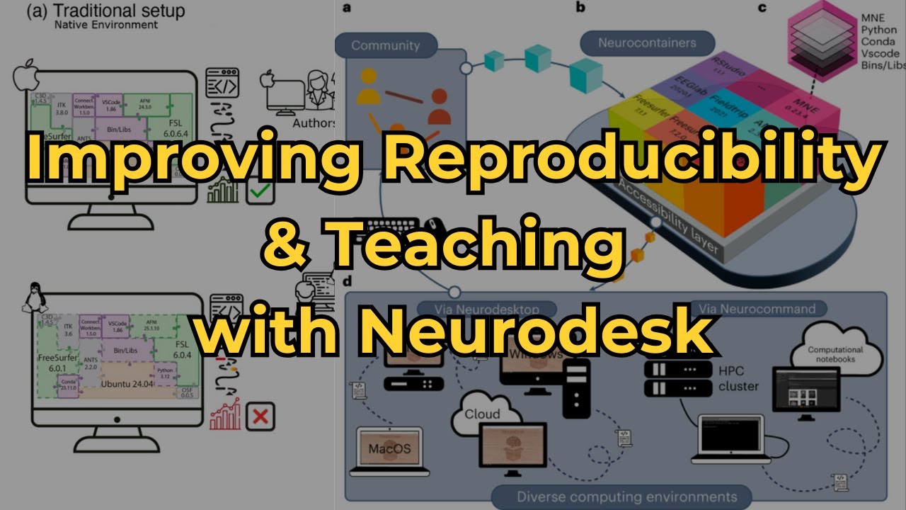 Улучшение воспроизводимости нейровизуализации и педагогики с помощью Neurodesk | Методический час...