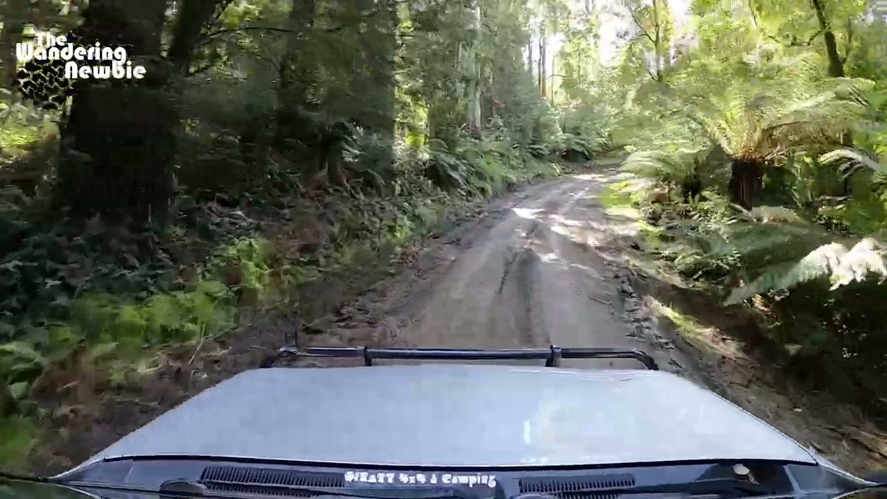 Aire Crossing Campground - Great Otway NP - Victoria