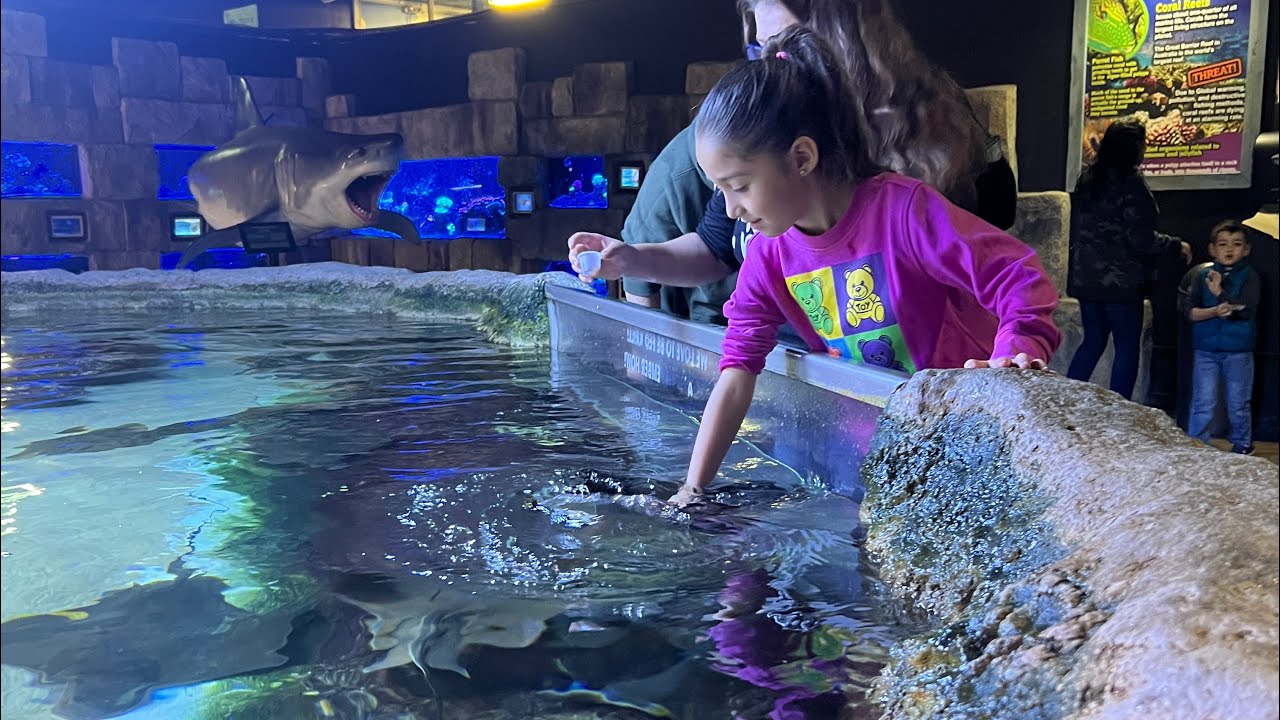 Visit Austin Aquarium