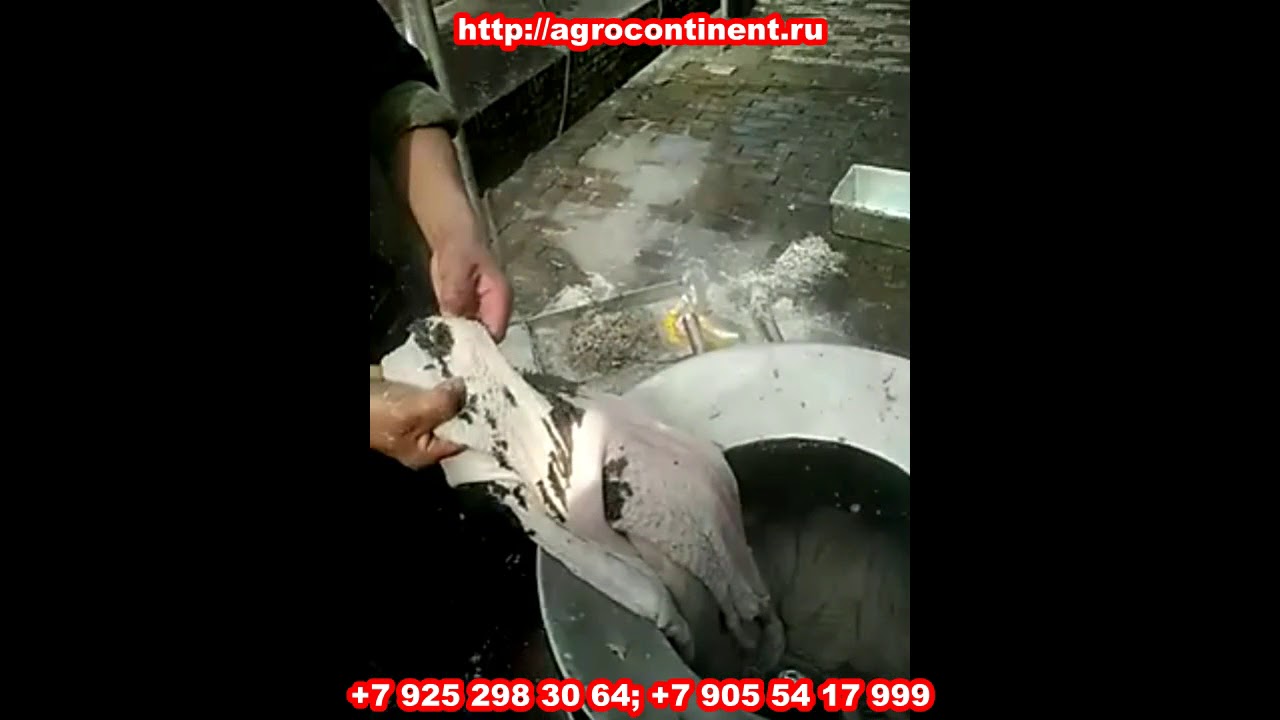 Мойка кишок от ООО Агроконтинент