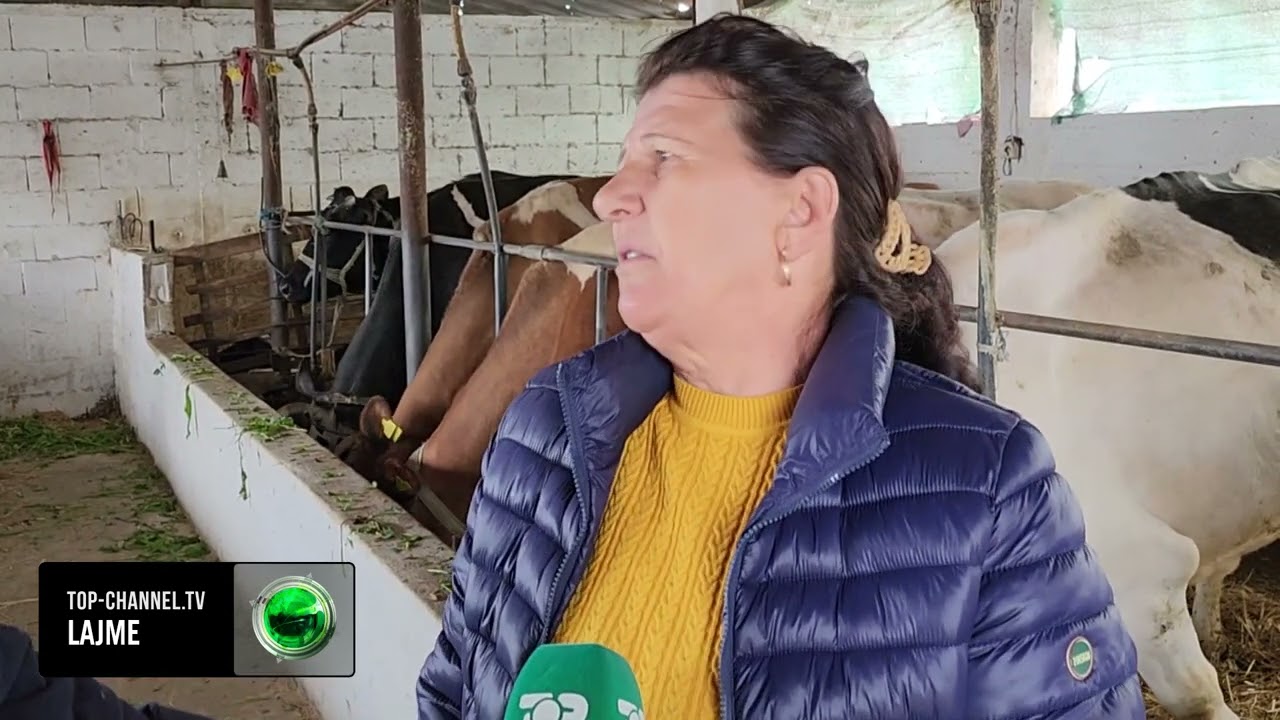 Top Channel / Jetesa me blegtori/ Bajamja me të bijtë duan të zgjerojnë stallat