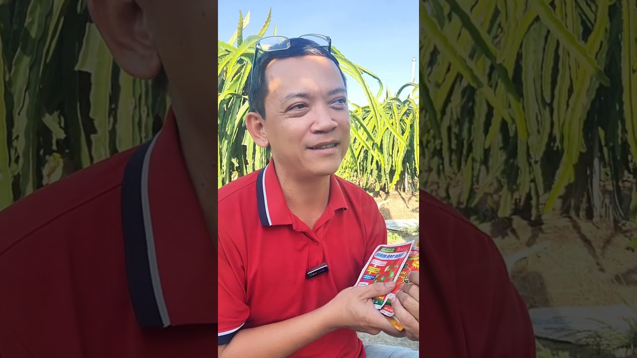 💥KHẮC PHỤC HIỆN TƯỢNG BỎNG TRÁI VỚI BỘ XÓA LEM 90K