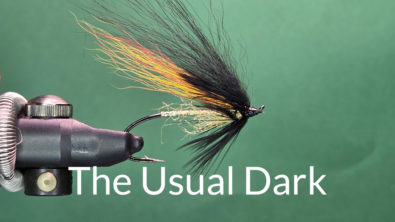 The Usual Dark - One Fly A Day