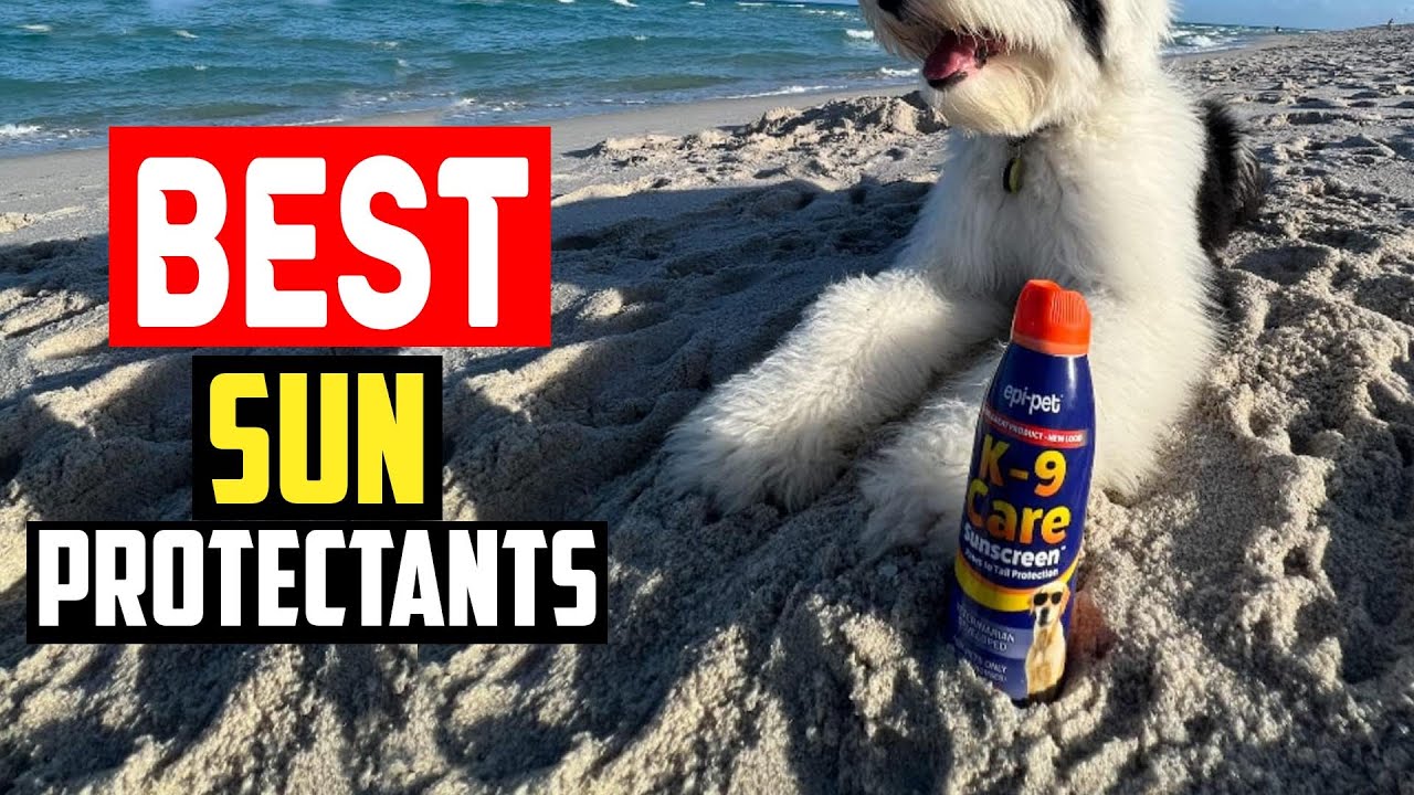 ✅Top 5 Best Sun Protectants for Dogs to Shield Them From Harmful Rays in 2025