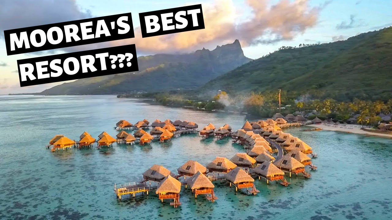 Hilton MOOREA Resort: Garden Bungalow Tour & Snorkeling // French Polynesia Vlog Day 2