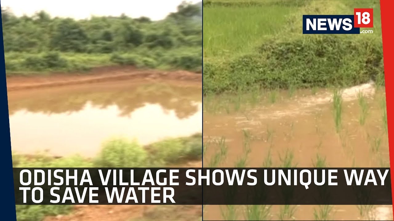 Villagers Of Odisha's Angul Overcome Water Crisis With Inventive Water Conservation Methods