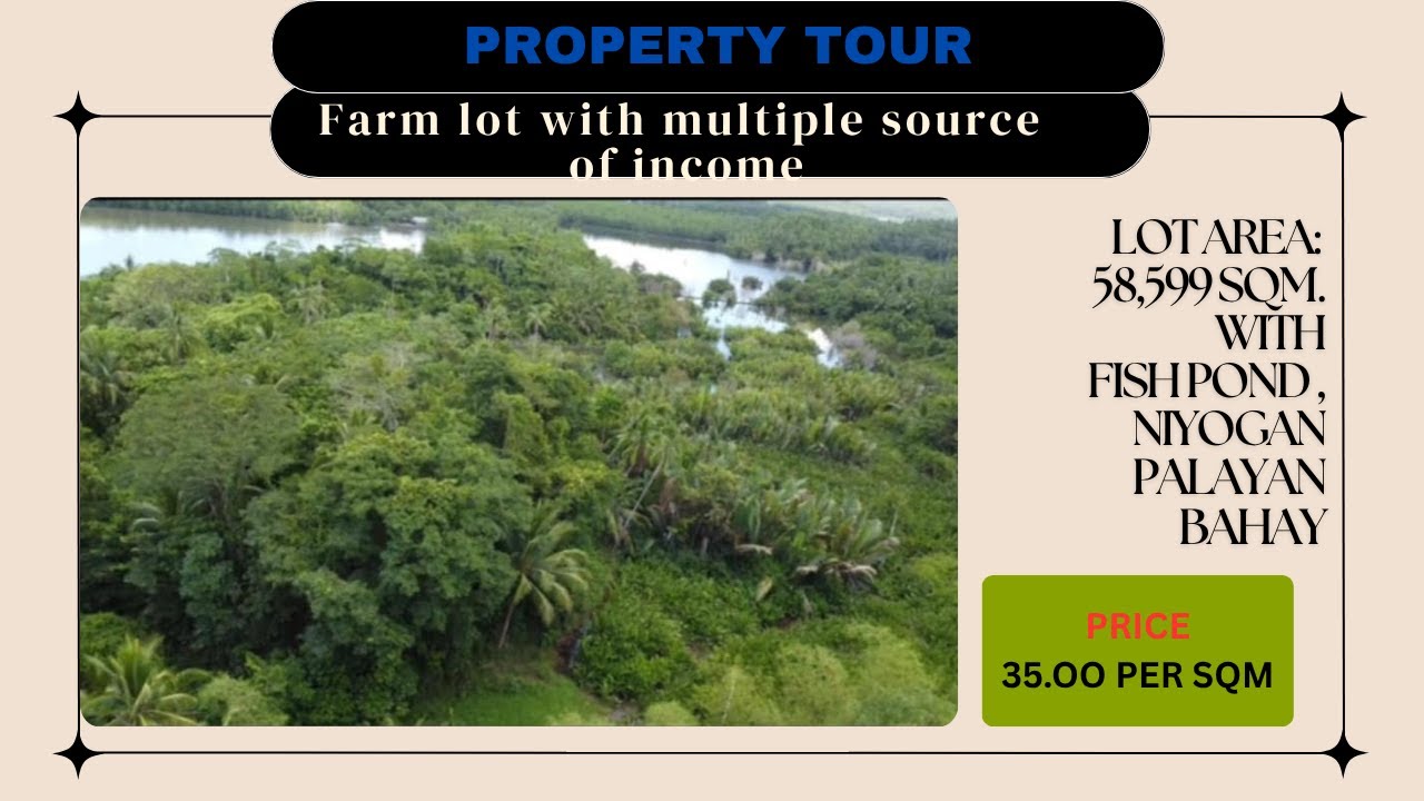 BLOG 31 FARM WITH MULTIPLE SOURCE OF INCOME