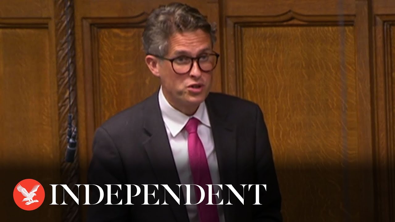 Gavin Williamson apologises to MPs for bullying former Tory chief whip