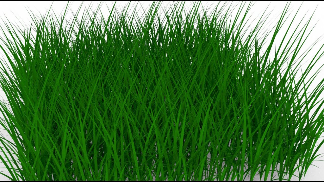 Grass generator. Grasshopper. Rhino