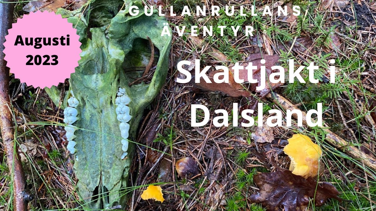 Dalsland & Karlstad