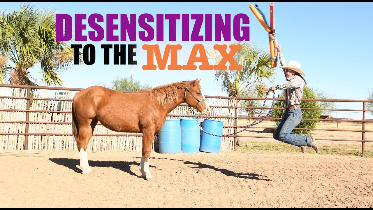 EVERYTHING I HAVE DONE WITH MY YEARLINGS