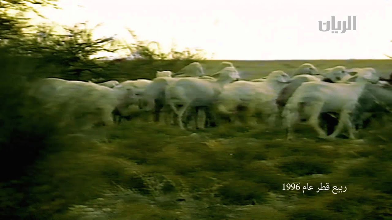 شلّة للشاعر محسن بن ناصر الغيثاني المري - ربيع قطر 1996م