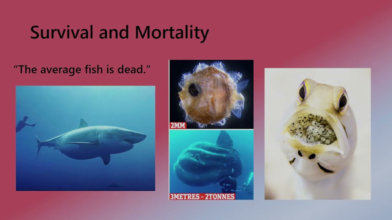 Chad Martel: Redd to Blue: The Perilous Journey of Juvenile Chinook Salmon