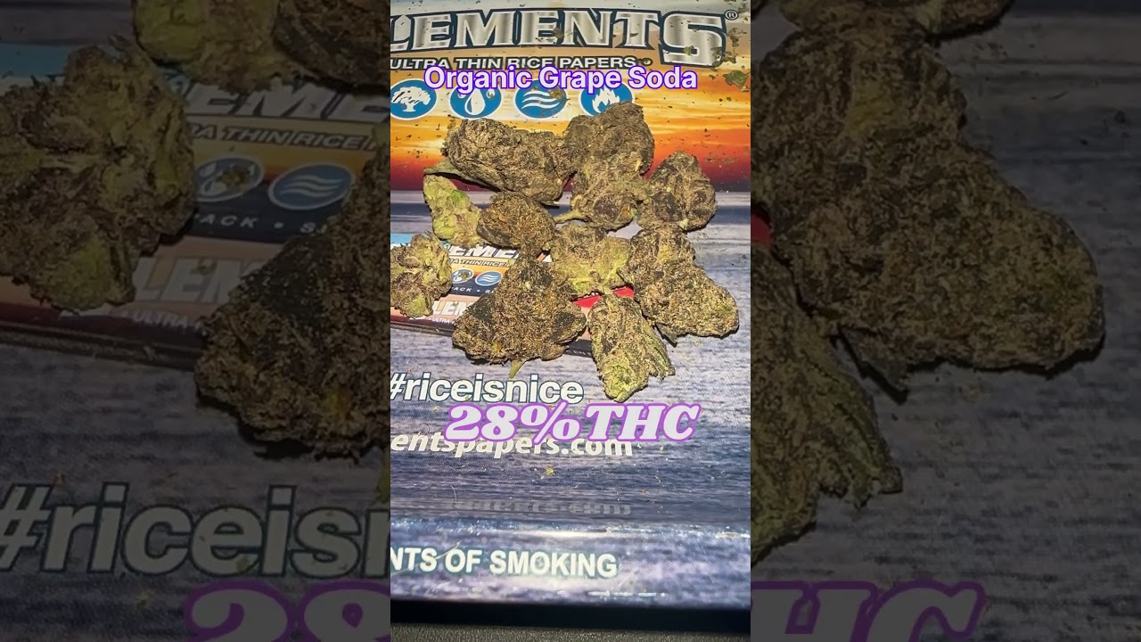 Organic Grape Soda #cannabiscommunity #strainreviews #akagi #anime #budcam #420