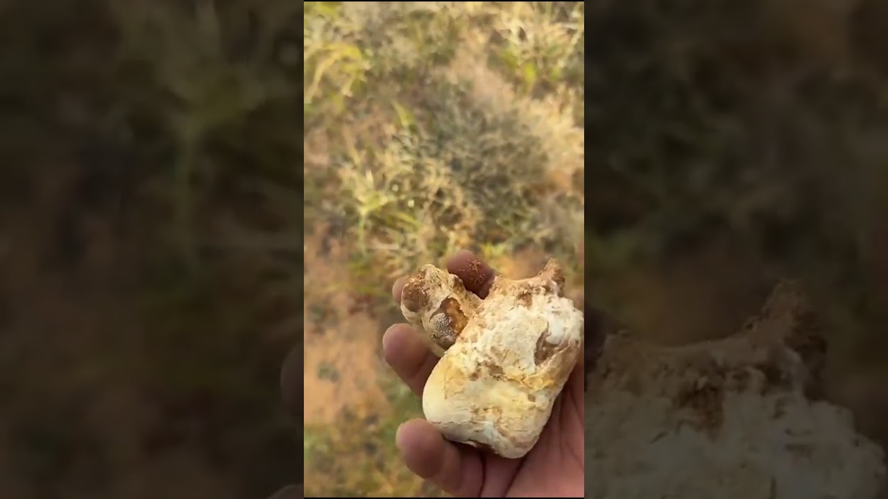 لقط ام فلاح اليوم 😍😍😍