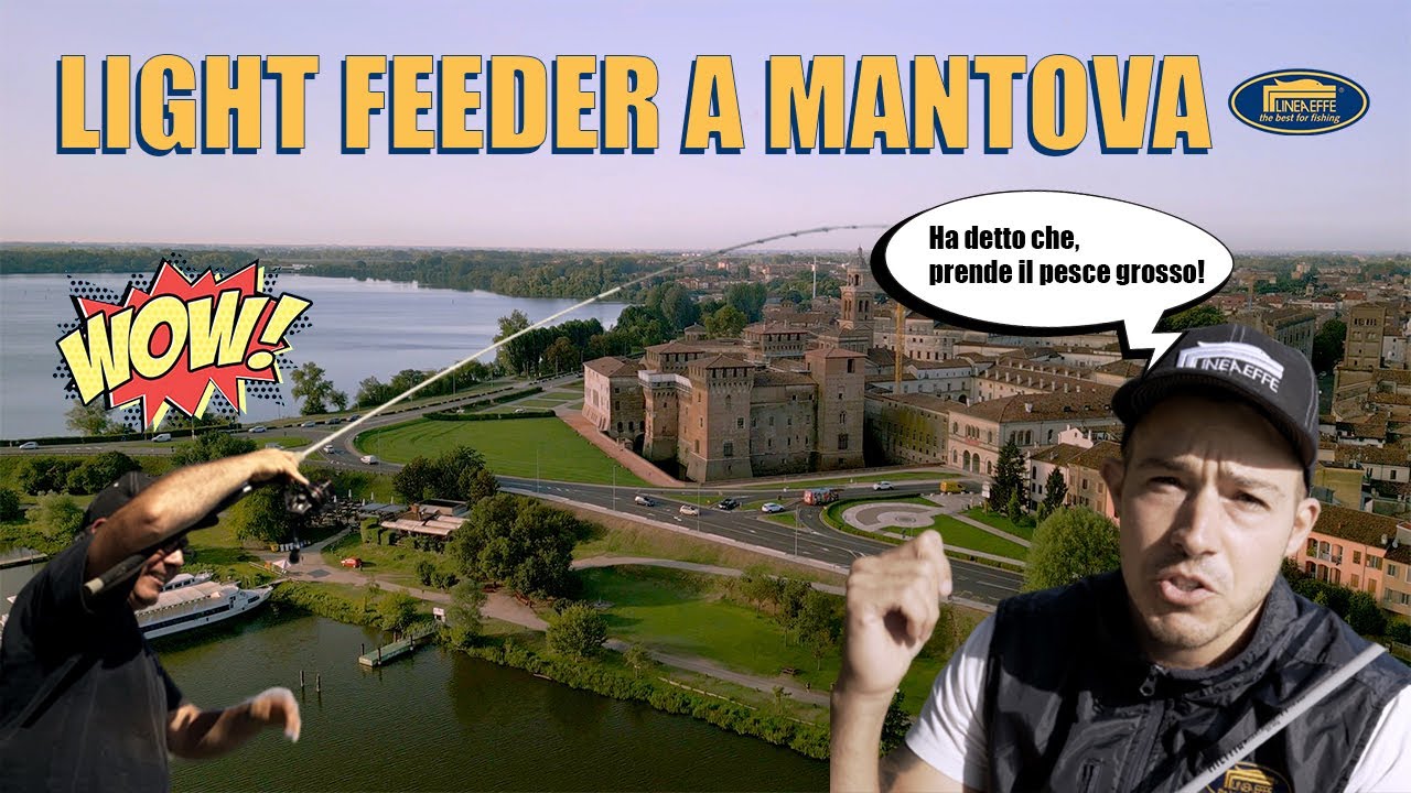 Mantova Light Feeder