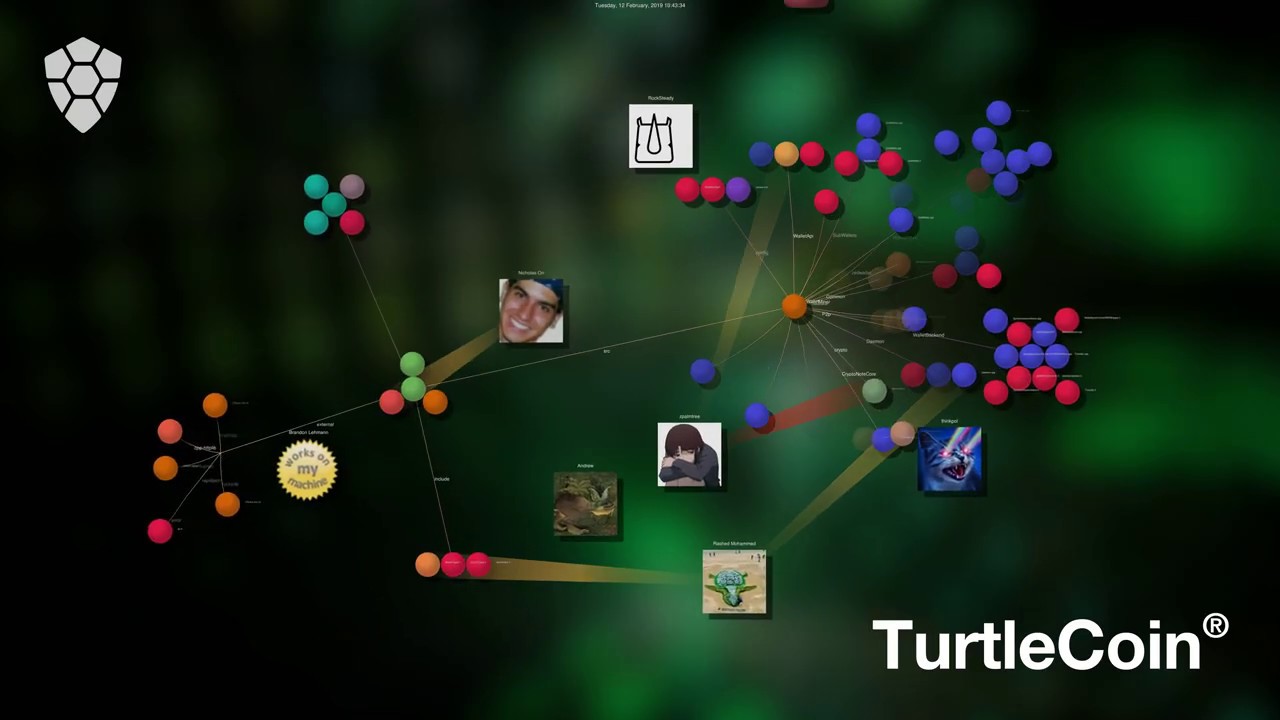 TurtleCoin Development Gource Visualization | 8K