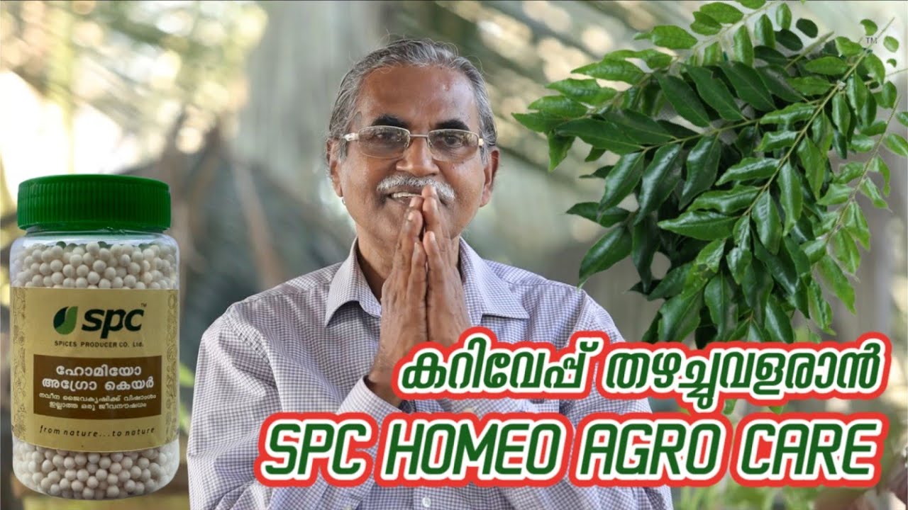 കറിവേപ്പ് വളരെ സുരക്ഷിതമായി കൃഷി ചെയ്യാൻ SPC HOMEO AGRO CARE
