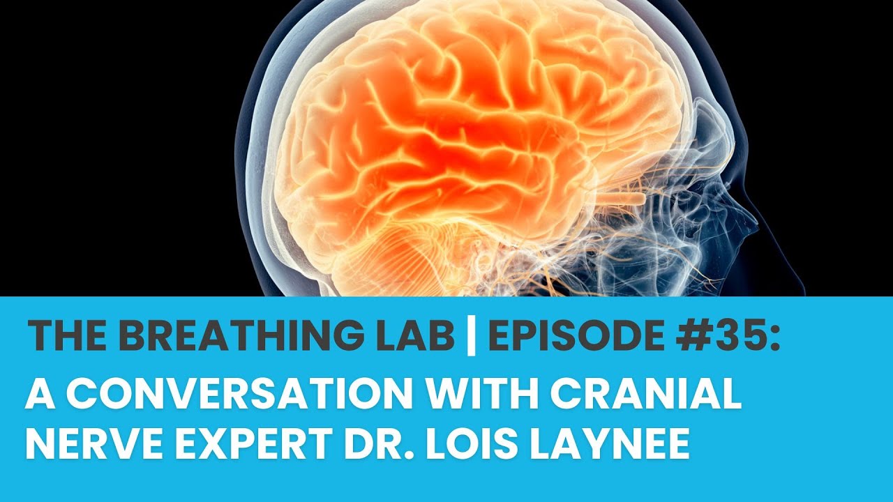A Conversation with Nerve Expert Dr. Lois Laynee
