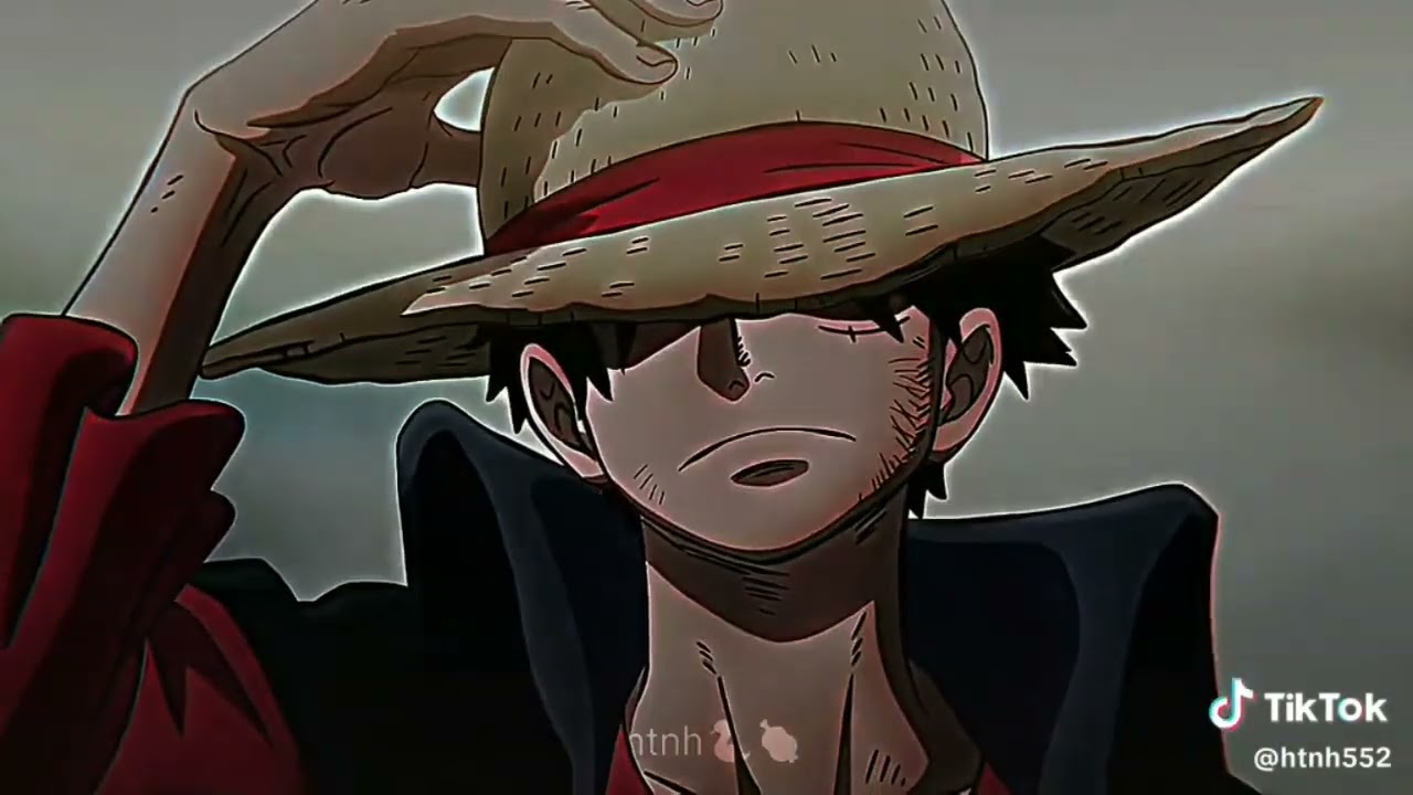[ Tik Tok One Piece 🐍💐 ] Tổng hợp những video hay, tình cảm, vui,  buồn,... #24