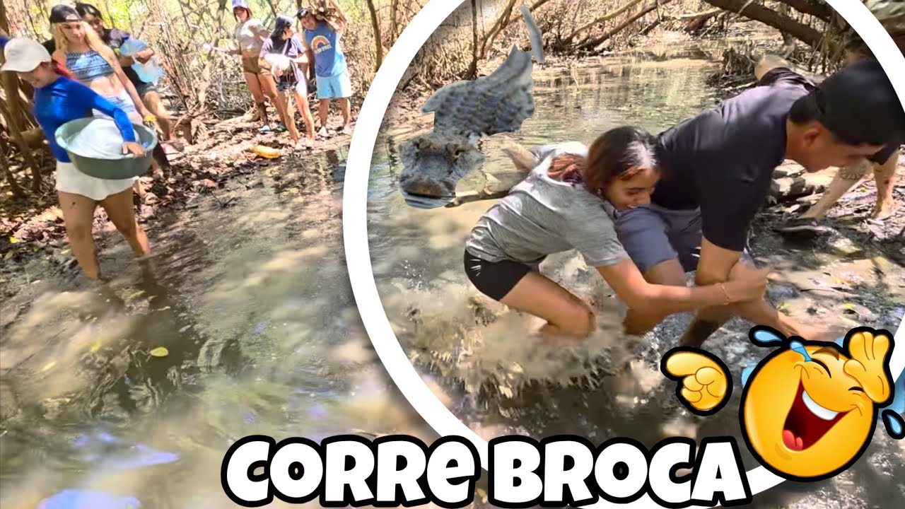 Un Lagarto Le Saco Un Gran Susto😱A Odalis