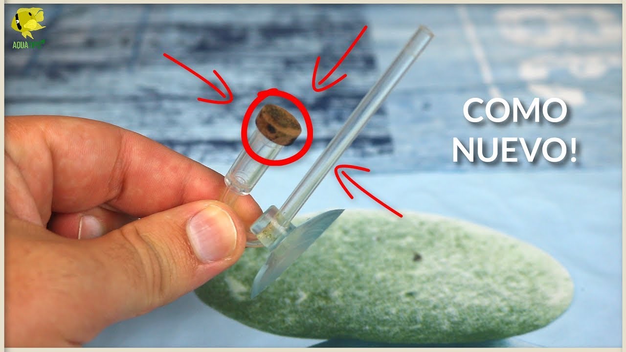 LA MEJOR FORMA DE LIMPIAR DIFUSORES DE CO2 **QUEDA COMO NUEVO** || AquaTips