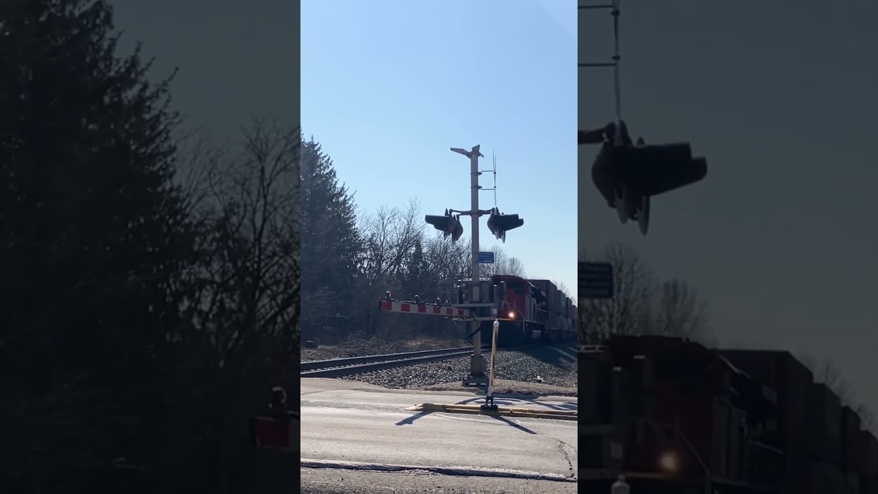 CN intermodals are the best! #train #cntrain #railfaning