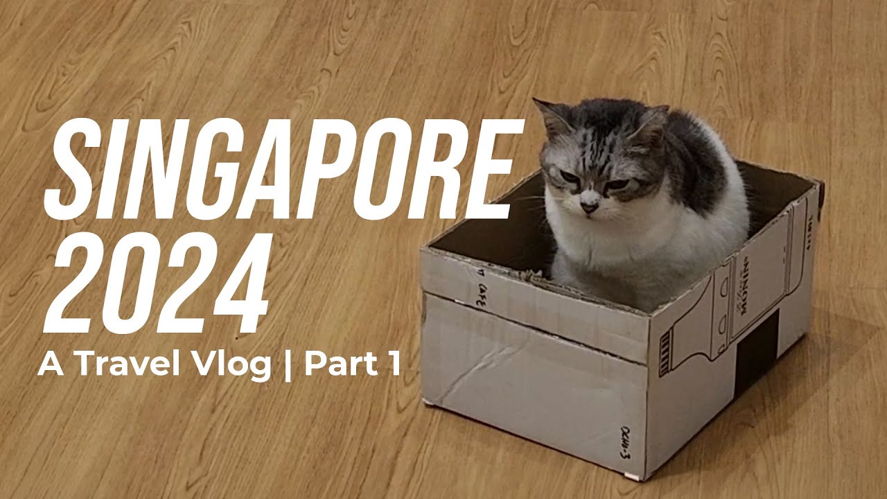 Singapore 2024 | Travel Vlog | Part 1