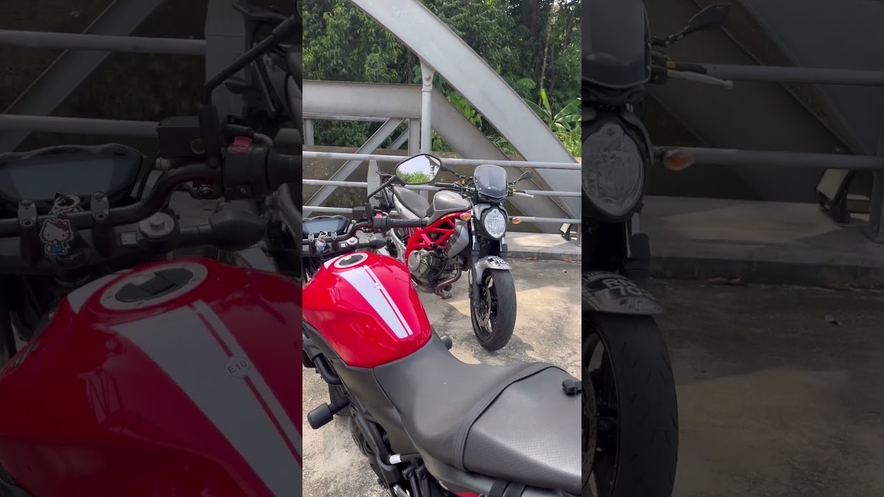 Suzuki Gladius #suzukigladius #sfv650