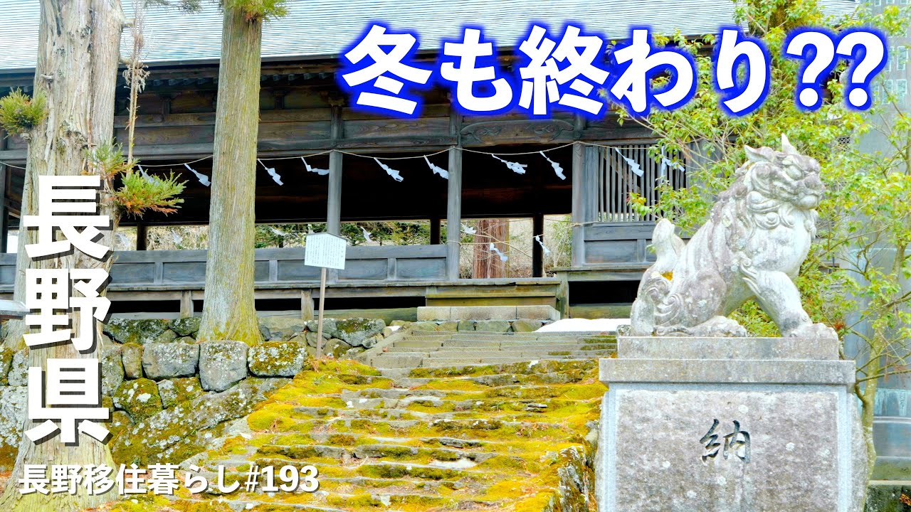 【長野移住】諏訪大社は桜の時期のお散歩にも良いかも?!そして高峰温泉には行けるのか・・・？｜諏訪｜小諸｜高峰マウンテンパーク｜ドライブ｜田舎暮らし｜長野県｜4K