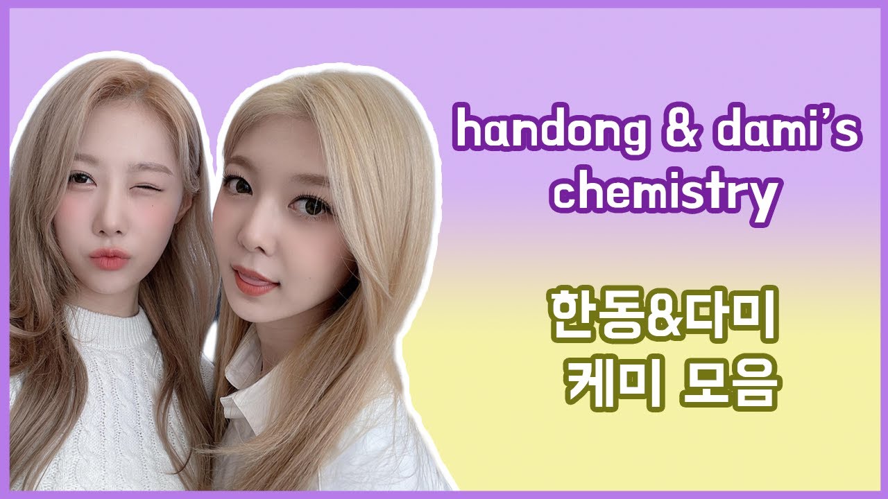 handong and dami's chemistry 드림캐쳐 한동&다미 케미 모음 🐱🐼