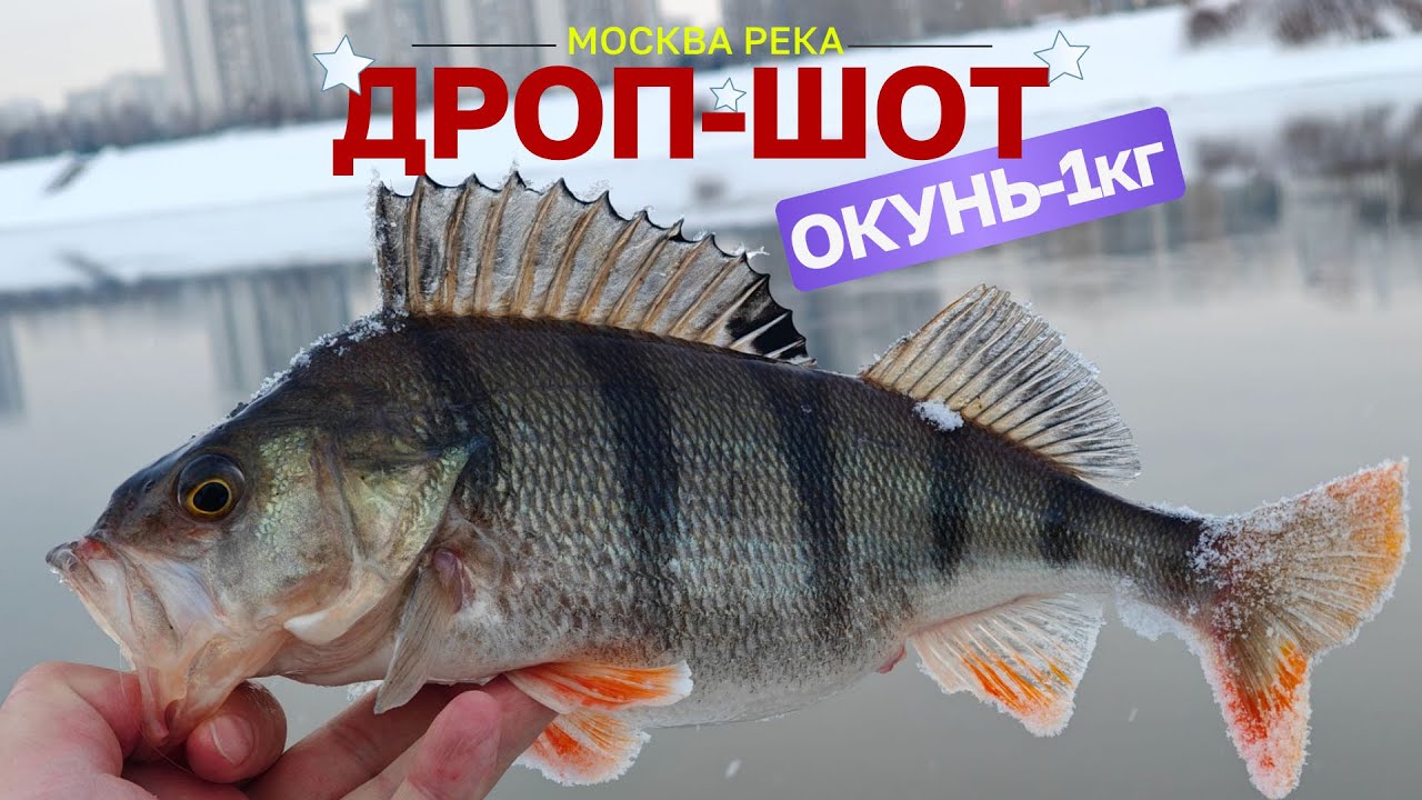 РЫБАЛКА Москва Река ДРОП-ШОТ Февраль 2026.