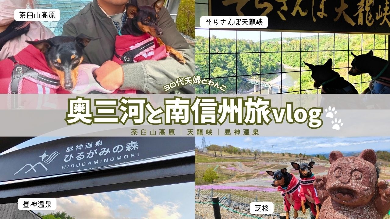 【犬連れ旅vlog】奥三河と南信州｜どんぐりの里いなぶ~茶臼山~天龍峡~昼神温泉｜2泊3日車中泊｜前編