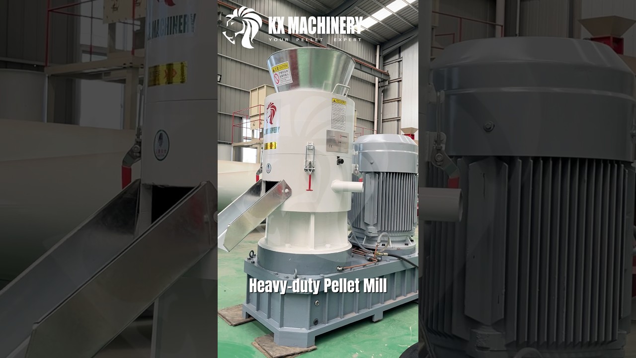 Heavy Duty Pellet Mill Biomass Pellet Machine for Fuel and Feed Pellet Production Line#pelletmachine