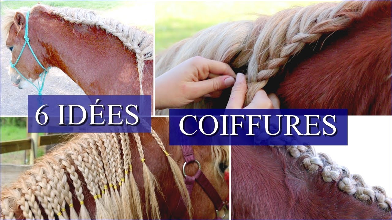 6 IDÉES COIFFURES CHEVAUX - Pour crinières longues