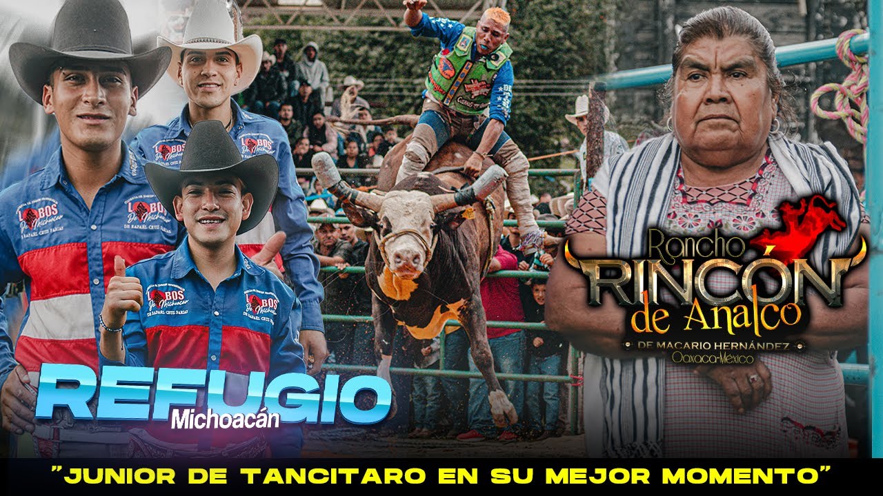 LA TIA VICKY TRAJO UNOS TORAZOS AL REFUGIO MICHOACAN ¡LOS LOBOS PELEARON PERO NO PUDIERON!