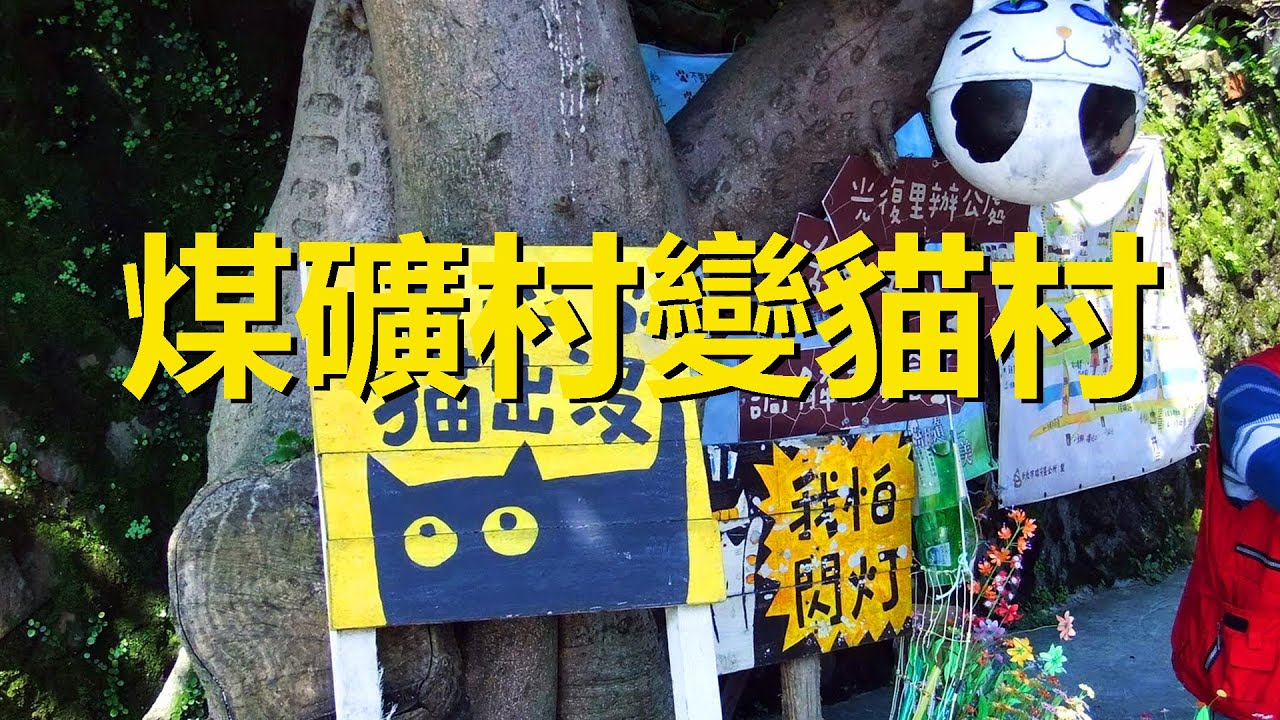 Одно из 6 самых популярных мест в мире для кошек, Houdong Cat Village, Тайвань.