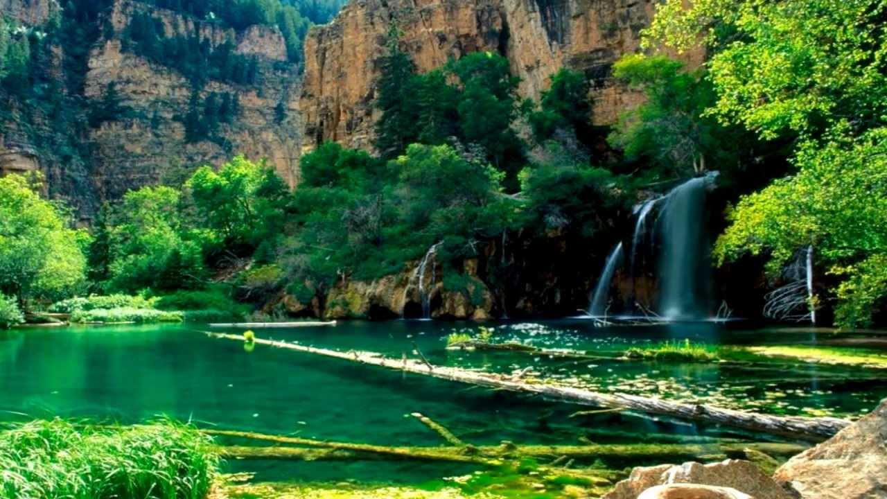 Eternal Paradise By Bilal Dannoun