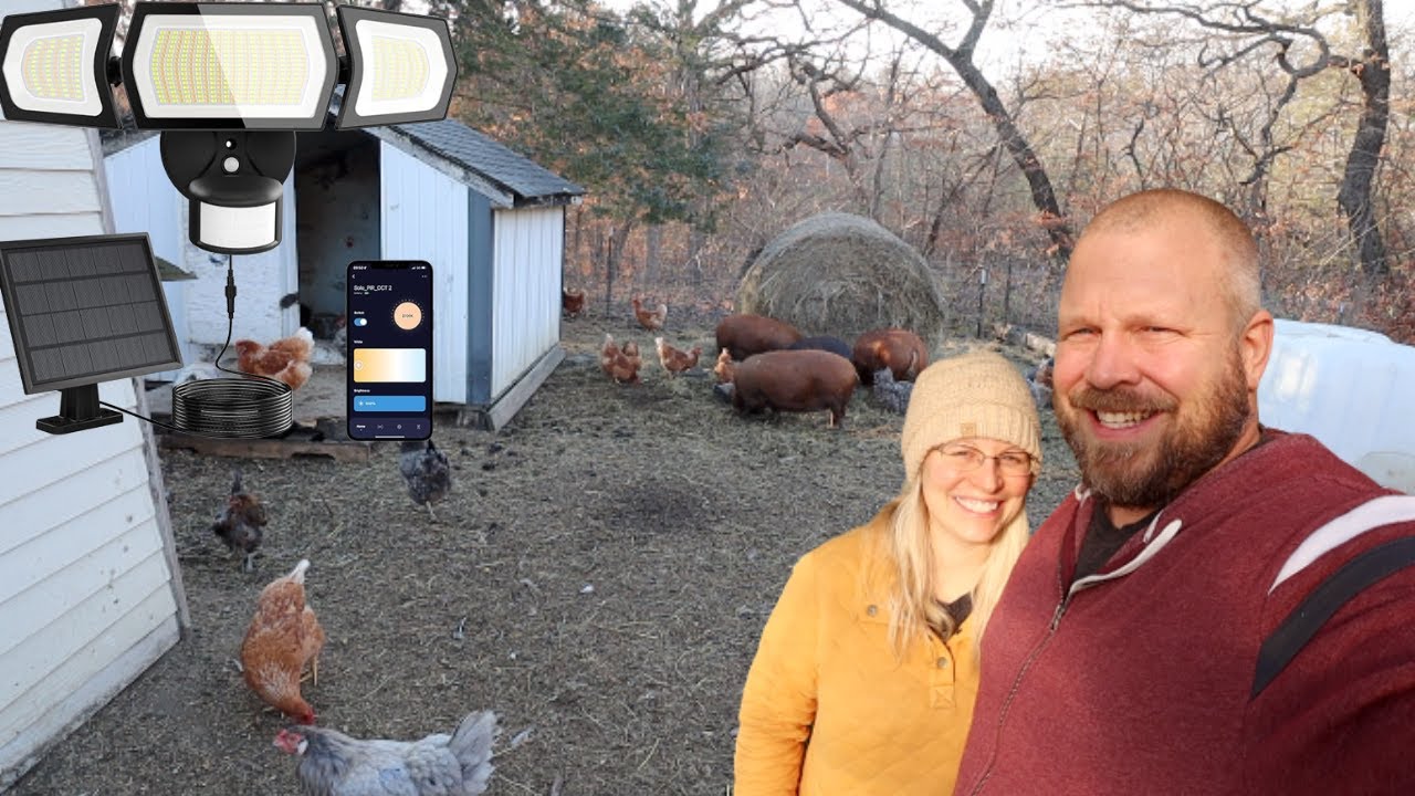 Chicken SECURITY and an update, Animals and Greenhouse