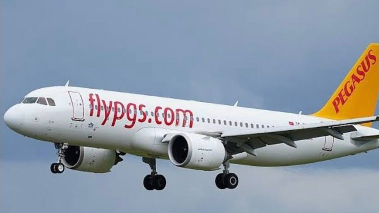 Самостоятльно в Египет. Перелет турецким лоукостером Pegasus.