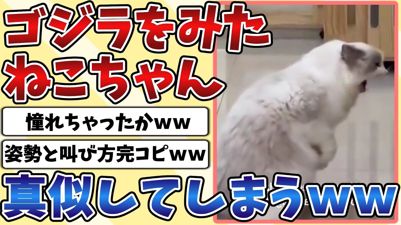 【2ch動物スレ】ゴジラを観た『猫』ちゃん、カッコよすぎて真似してしまうｗｗｗ