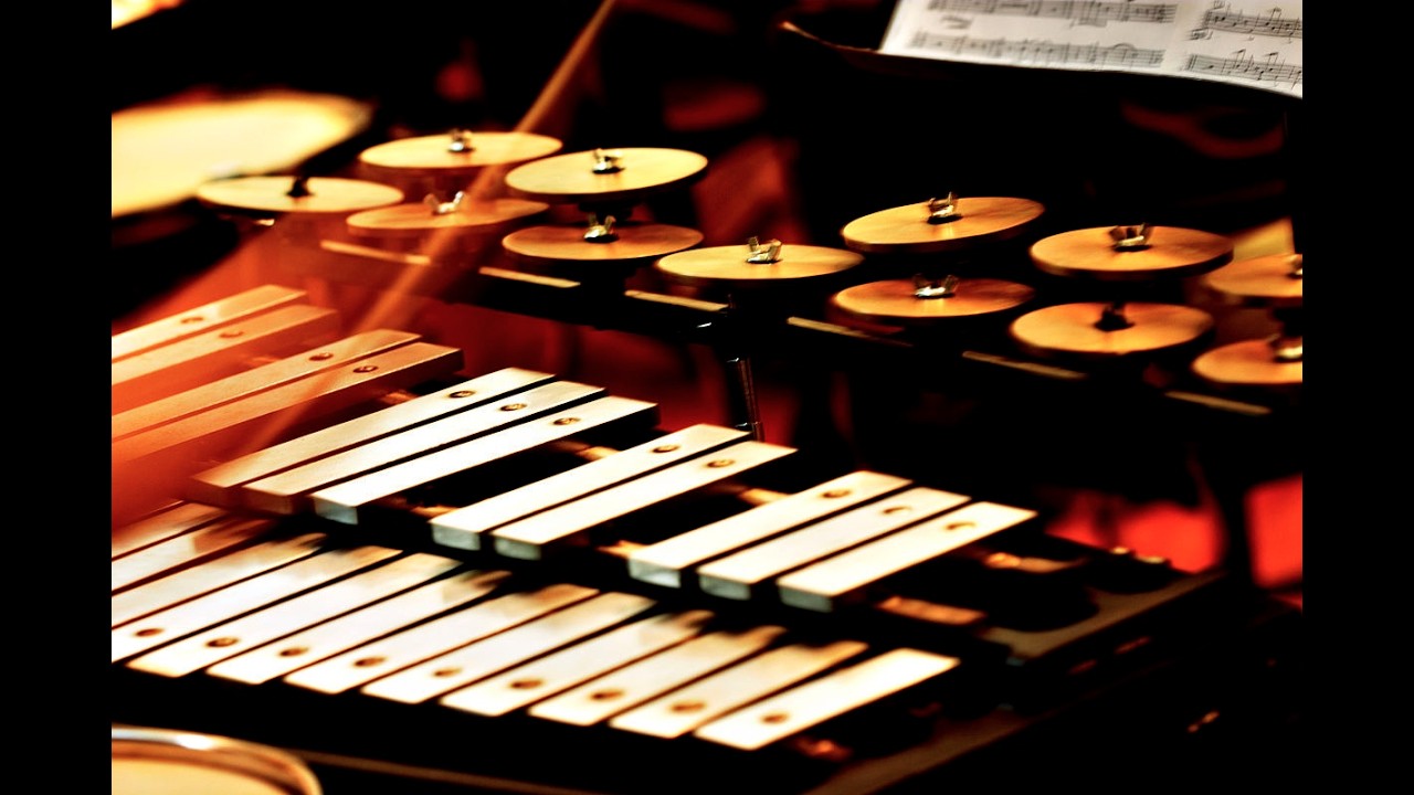 N S E  Zin in muziek