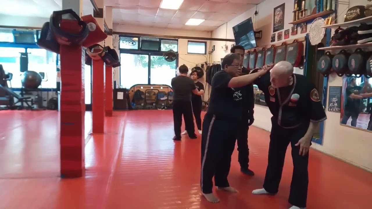 Modern Arnis Class: Empty Hand Trapping w/ Dr. Remy Presas Jr