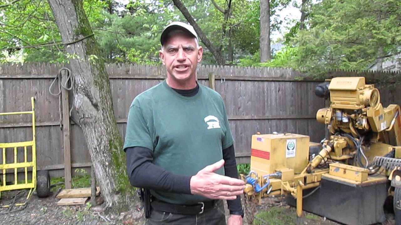 Why stump grinding is necessary