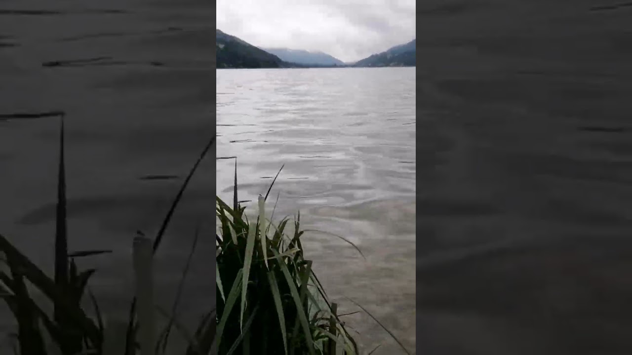 Alpensee ⛰️🌲🦆