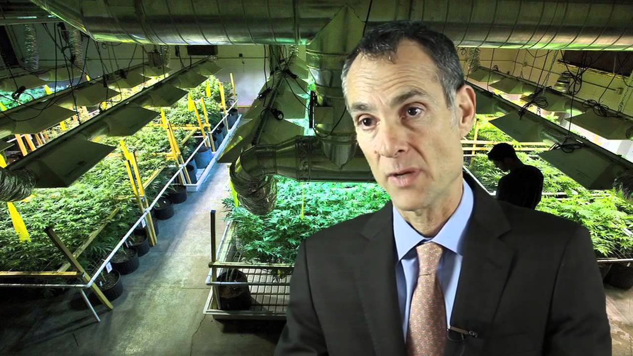 Is Growing Marijuana Legal In California? Los Angeles Marijuana Attorneys